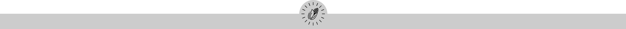 references-separator-blog-section