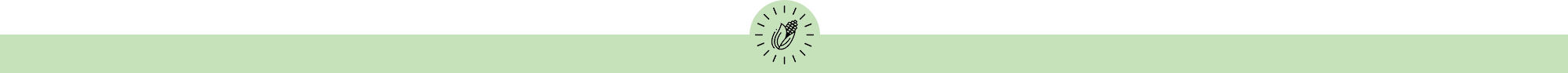 separator-blog-section-v2