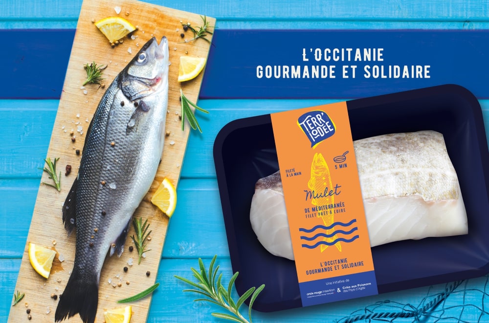 branding-terre-iodee-1000x661-min Packaging, plateforme de marque, story-telling pour Terr'iodee