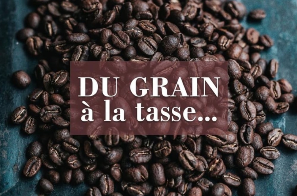 social-media-delonghi-1000x660-min