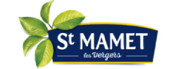 st-mamet-min