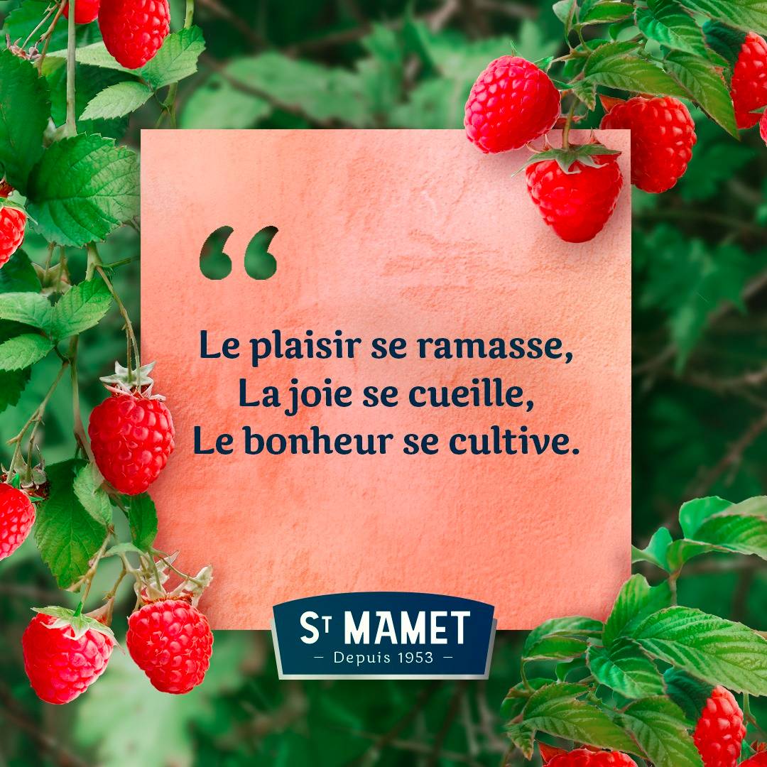 La marque food Saint Mamet publie des mantras sur Facebook dans le cadre de sa nouvelle stratégie social media