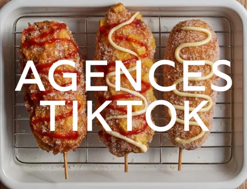 Comment fonctionne une agence TikTok ?